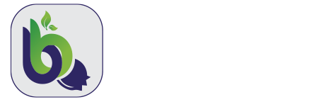Bluebery Media